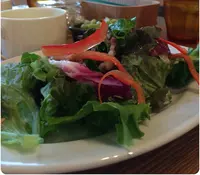 グリーン アンド ミート ライフの写真・動画_image_73727