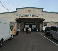 塩釜水産物仲卸市場の写真・動画_image_126829