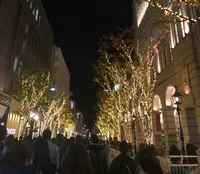 神戸旧居留地の写真・動画_image_1285017