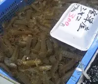 道の駅 みつの写真・動画_image_126233