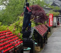 長谷寺の写真・動画_image_76598