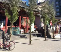浅草神社（三社さま）の写真・動画_image_210771