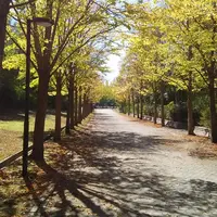 日本へそ公園の写真・動画_image_287191