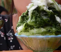 KALPAの写真・動画_image_216025