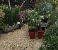 Solso Farmの写真・動画_image_32127