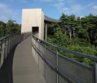 別所岳スカイデッキ 能登ゆめてらすの写真・動画_image_216291