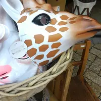 malto（マルト）の写真・動画_image_45449