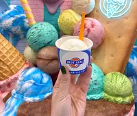 ブルーシール 宮古島パイナガマ店の写真・動画_image_1265848