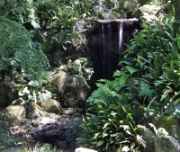 三橋節子美術館の写真・動画_image_79459