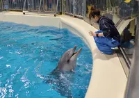 浅虫水族館の写真・動画_image_19922