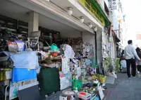 羽島の古い町並みの写真・動画_image_21500