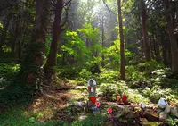 恐山冷水の写真・動画_image_23212