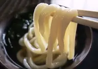あやうた製麺の写真・動画_image_42215