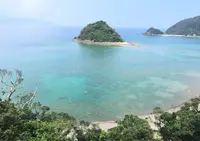 住用町の写真・動画_image_61433