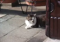 浄瀧寺の写真・動画_image_65682