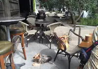 6th by ORIENTAL HOTELの写真・動画_image_68058