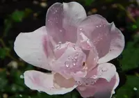 びわ湖大津館（旧琵琶湖ホテル）の写真・動画_image_79488