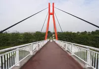 自転車天国の写真・動画_image_128089