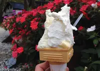ジェラートショップ 花彩の写真・動画_image_135147