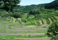 棚田（日本棚田百選）の写真・動画_image_137936