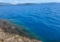 田沢湖の写真・動画_image_1617790