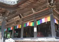 野間大坊の写真・動画_image_162709