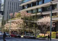 東京スクエアガーデンの写真・動画_image_171273