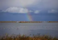 高島市新旭水鳥観察センターの写真・動画_image_178501