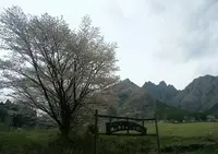 鍋の平キャンプ村の写真・動画_image_203170