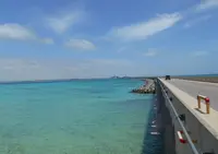 伊良部大橋の写真・動画_image_331766