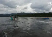 西表島の写真・動画_image_746672