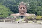 ハニベ巌窟院
