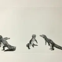 Caiman latirostris 命は水とおどるように