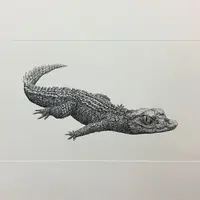 Paleosuchus trigonatus 2