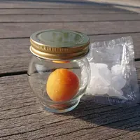 The CHOYA 梅キット