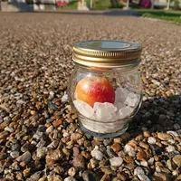 The CHOYA 梅キット2