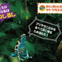 展示水槽イメージ