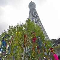 ソラマチひろばの笹飾り(昨年の様子)©️TOKYO-SKYTREETOWN