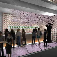 巨大な1本桜の下で一足早いお花見を