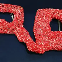 山本麻世「へその緒」2017 　*展示予定作品 