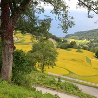 佐渡の風景