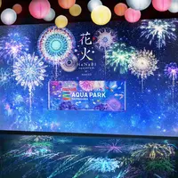 「舞花火」※イメージ