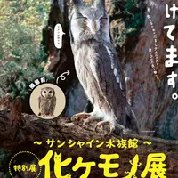 サンシャイン水族館特別展「化ケモノ展」