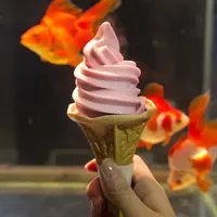 「金魚ソフトクリーム」