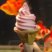 金魚ソフトクリーム（イメージ）