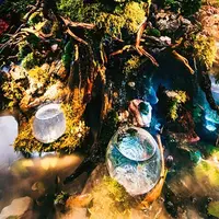 「京都金魚伝説」（イメージ）