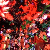 Floating in the Falling Universe of Flowers teamLab, 2016-2018, Interactive Digital Installation, Endless, Sound: Hideaki Takahashi