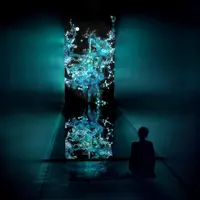 Cold Life teamLab, 2014, Digital Work, 7 min 15 sec. (loop), Calligraphy: Sisyu