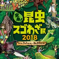 変身！昆虫スゴわざ展2018イメージ