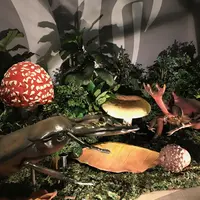  巨大昆虫フォトコーナー